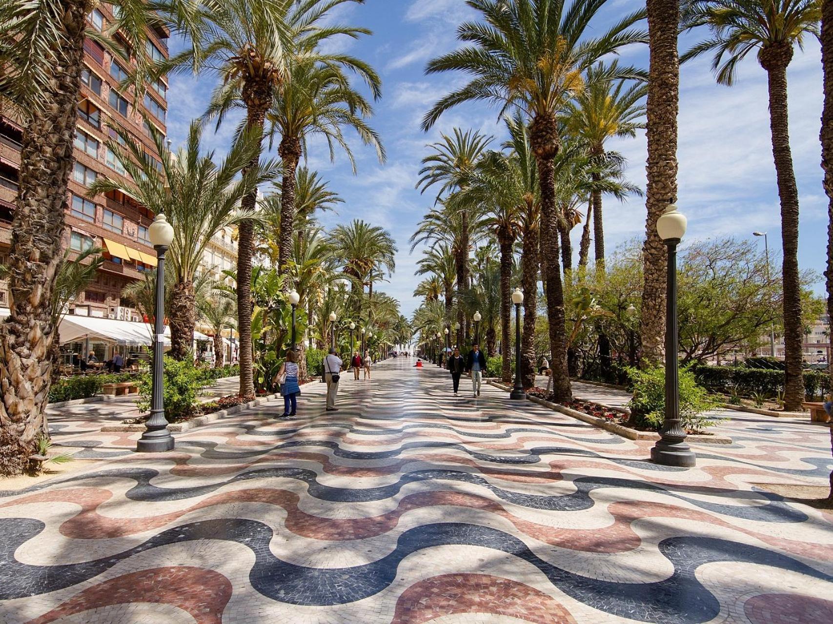 Flamingo42 Lägenhet Alicante Exteriör bild